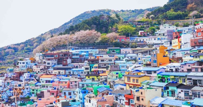 SriLankan Airlines Busan Office in South Korea