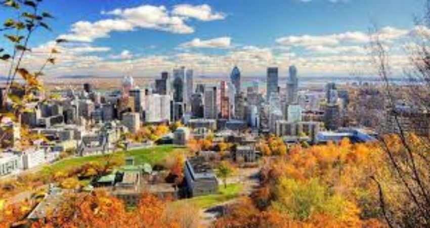 Turkish Airlines Montreal Office in Canada